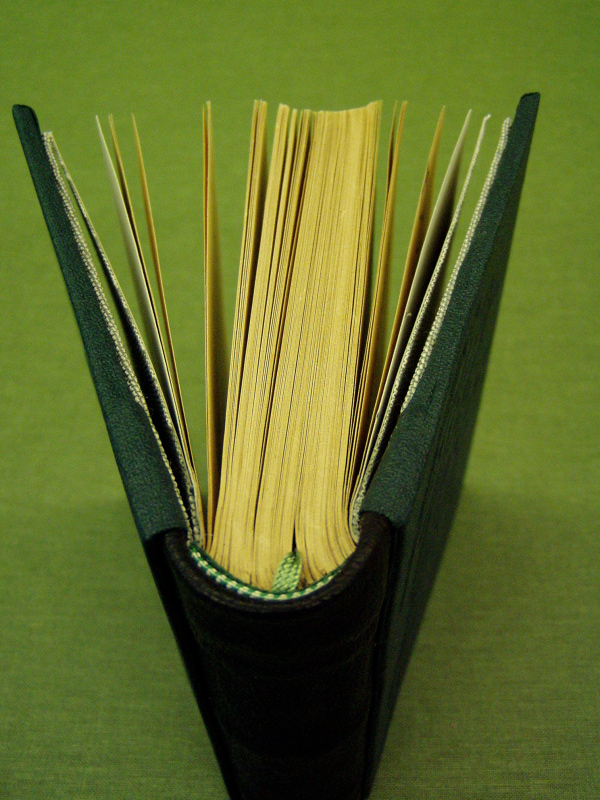 P1010159.JPG